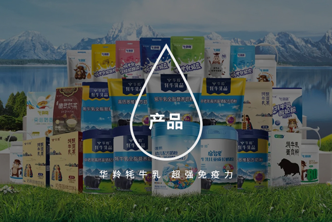 华羚更懂牦牛奶