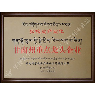 甘南州重点龙头企业