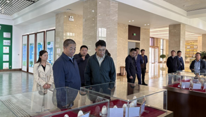 发挥主流媒体平台优势  助力牦牛产业高质..